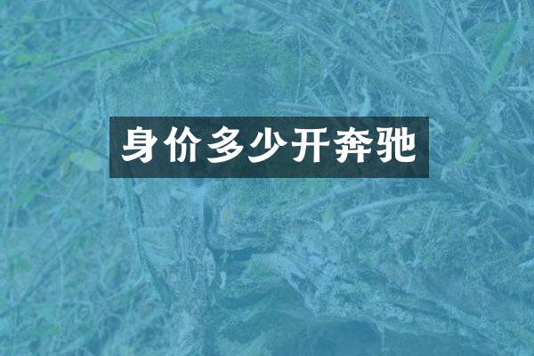 身价多少开奔驰