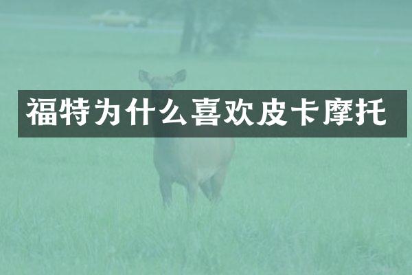 福特为什么喜欢皮卡摩托