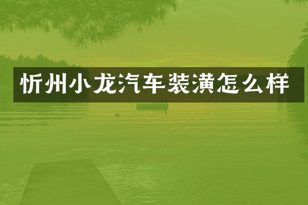 忻州小龙汽车装潢怎么样