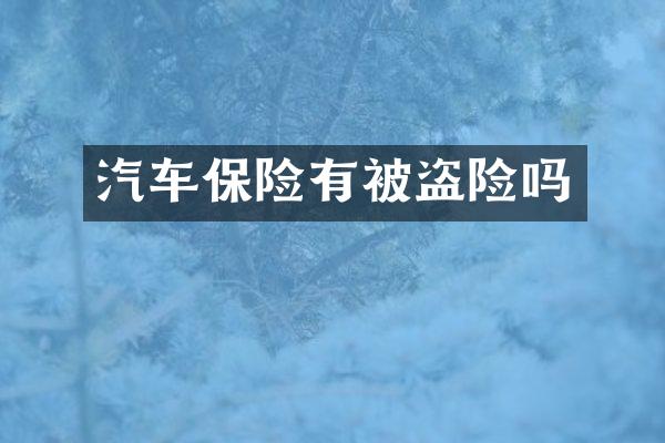 汽车保险有被盗险吗