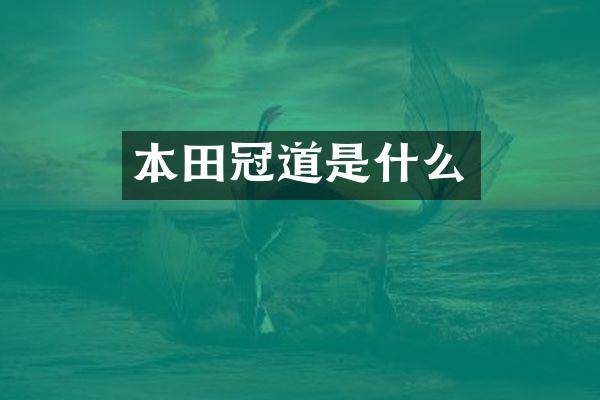 本田冠道是什么