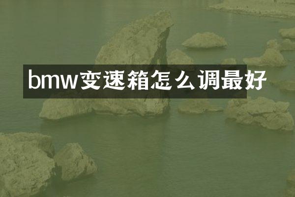 bmw变速箱怎么调最好