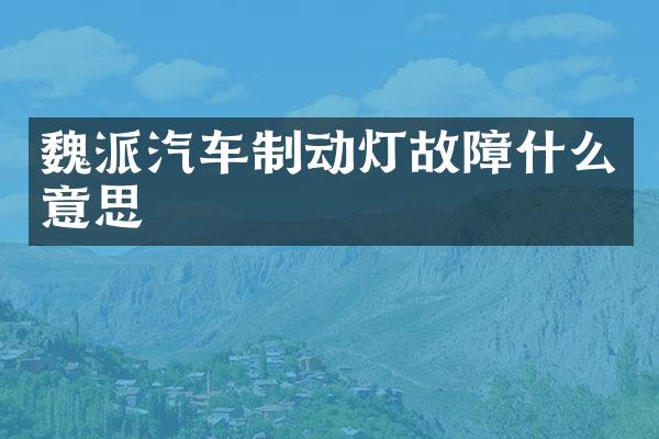 魏派汽车制动灯故障什么意思