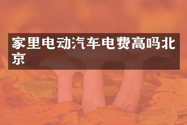 家里电动汽车电费高吗北京