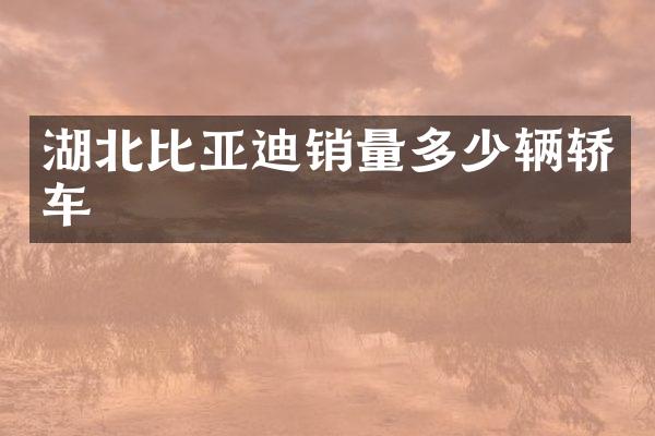 湖北比亚迪销量多少辆轿车