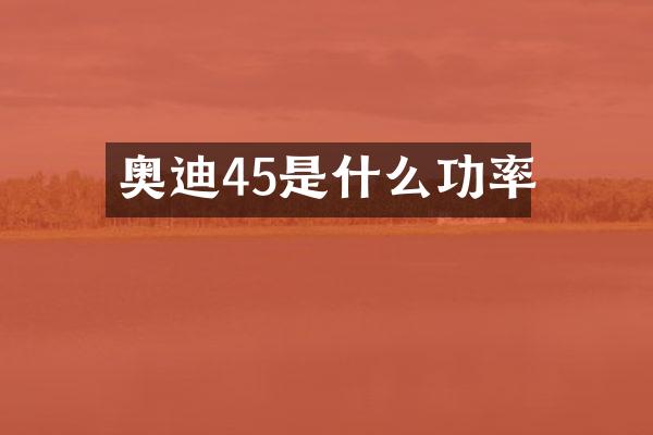 奥迪45是什么功率