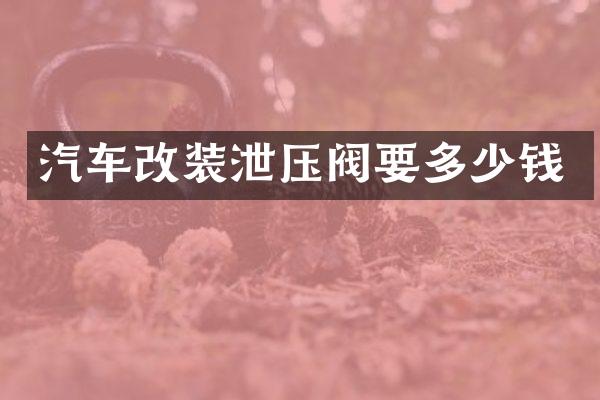 汽车改装泄压阀要多少钱