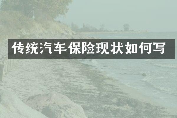 传统汽车保险现状如何写