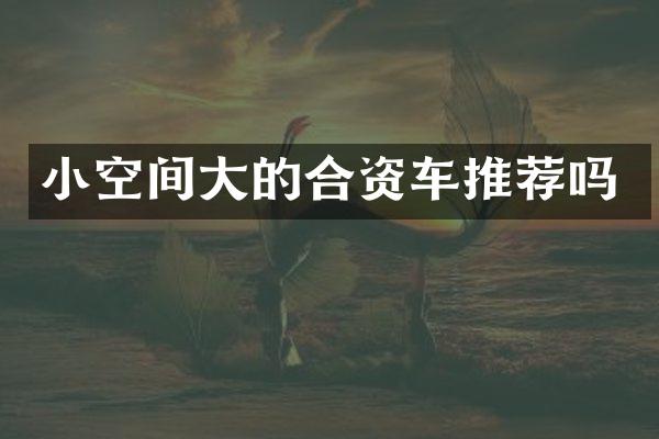 小空间大的合资车推荐吗