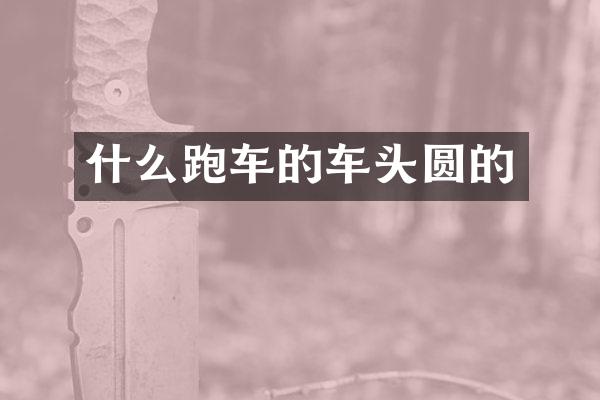 什么跑车的车头圆的