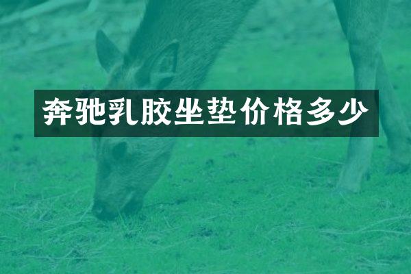 奔驰乳胶坐垫价格多少