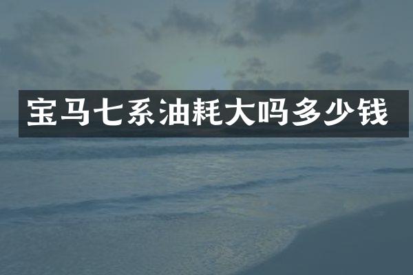 宝马七系油耗大吗多少钱