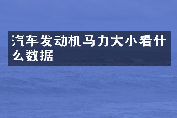 汽车发动机马力大小看什么数据