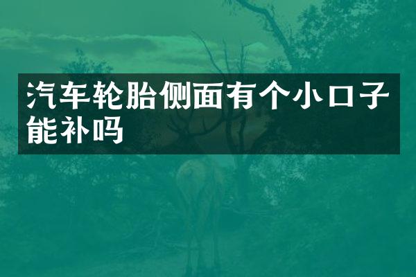 汽车轮胎侧面有个小口子能补吗