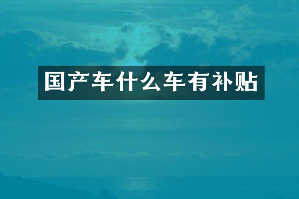 国产车什么车有补贴