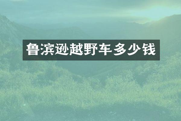 鲁滨逊越野车多少钱