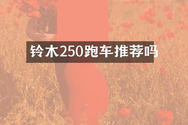 铃木250跑车推荐吗