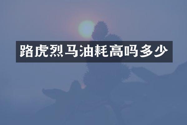 路虎烈马油耗高吗多少