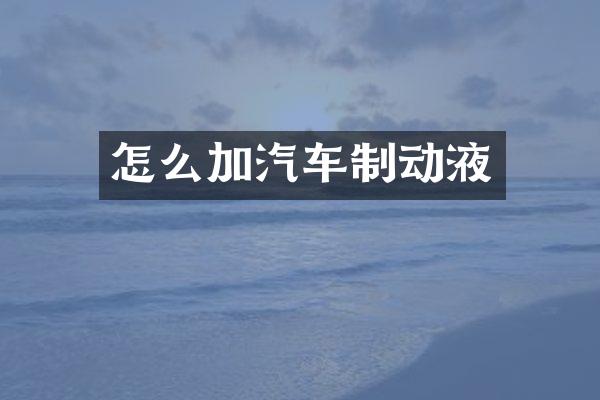 怎么加汽车制动液