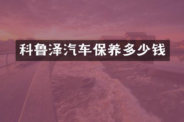 科鲁泽汽车保养多少钱