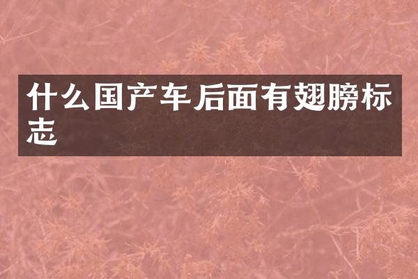 什么国产车后面有翅膀标志