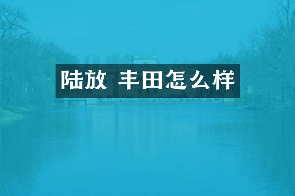 陆放 丰田怎么样
