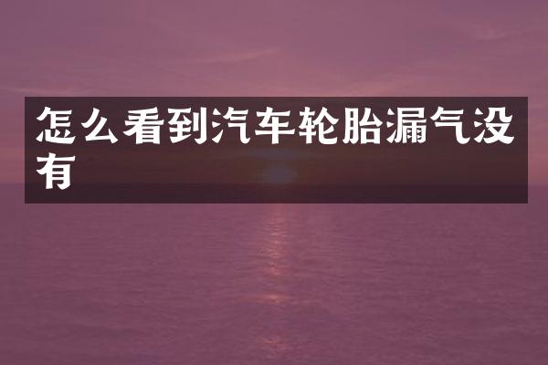 怎么看到汽车轮胎漏气没有