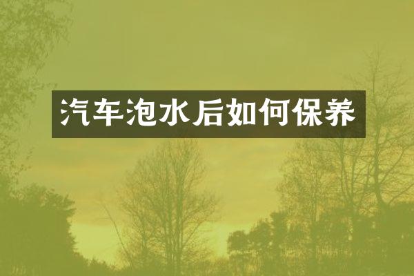 汽车泡水后如何保养