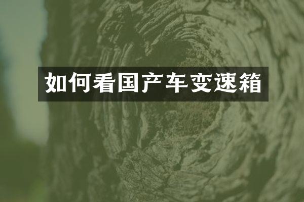 如何看国产车变速箱