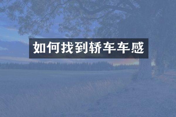 如何找到轿车车感