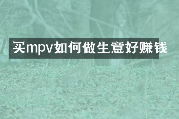 买mpv如何做生意好赚钱