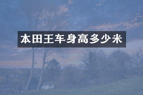本田王车身高多少米