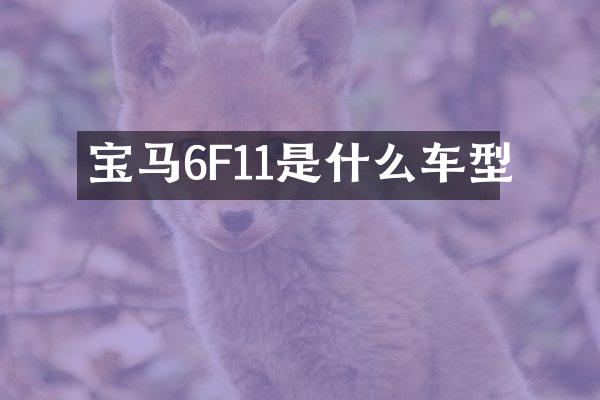 宝马6F11是什么车型