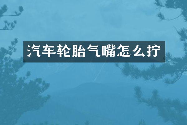 汽车轮胎气嘴怎么拧