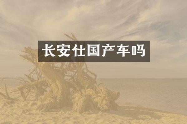 长安仕国产车吗