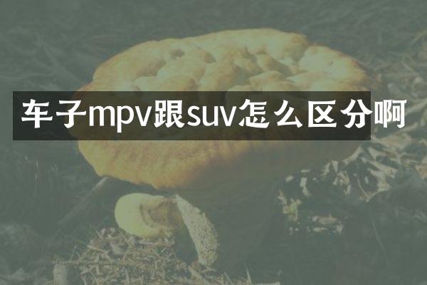 车子mpv跟suv怎么区分啊