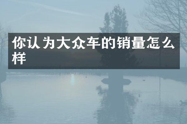 你认为大众车的销量怎么样