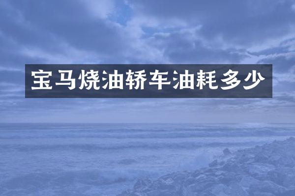 宝马烧油轿车油耗多少