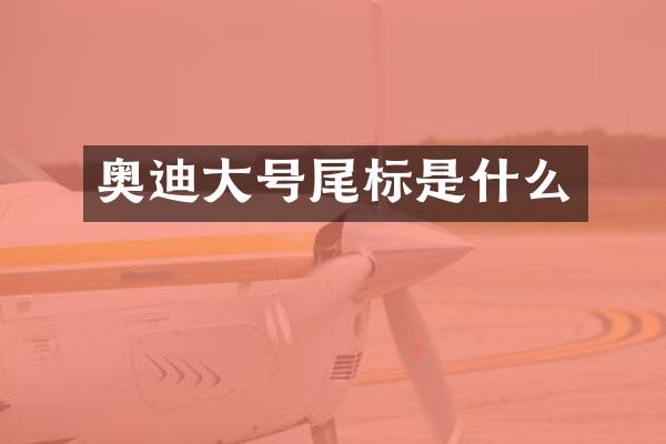 奥迪大号尾标是什么