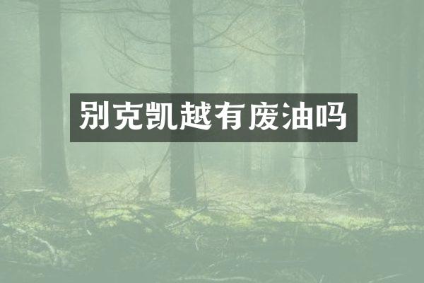 别克凯越有废油吗