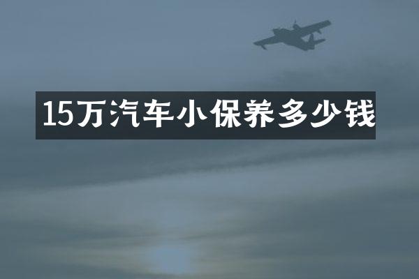 15万汽车小保养多少钱