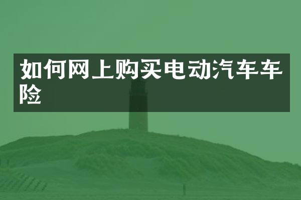 如何网上购买电动汽车车险