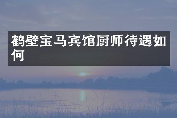 鹤壁宝马宾馆厨师待遇如何