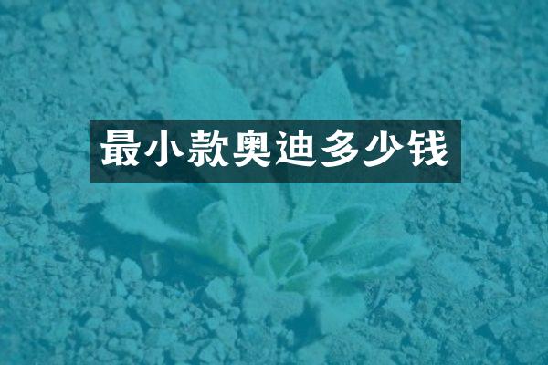 最小款奥迪多少钱