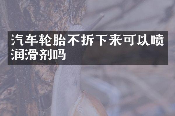 汽车轮胎不拆下来可以喷润滑剂吗