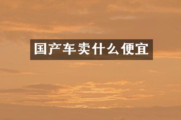 国产车卖什么便宜
