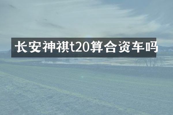 长安神祺t20算合资车吗