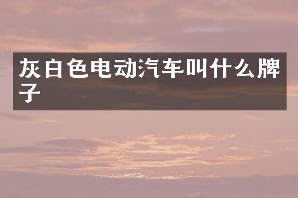 灰白色电动汽车叫什么牌子