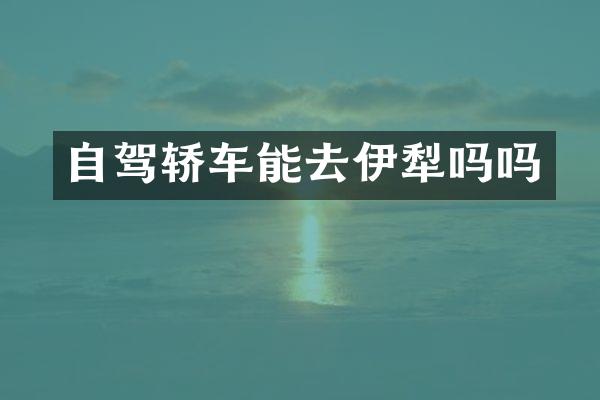 自驾轿车能去伊犁吗吗