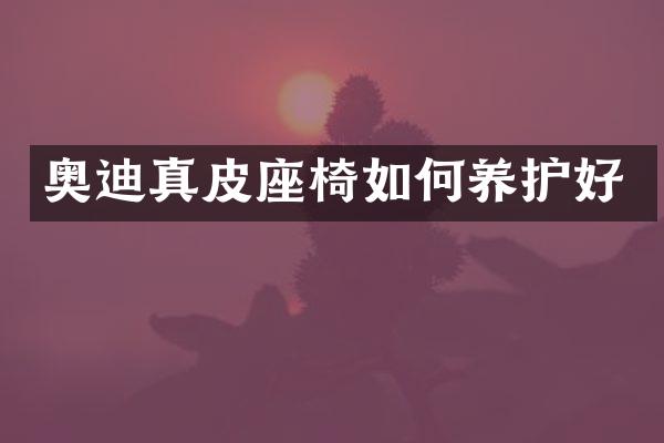 奥迪真皮座椅如何养护好